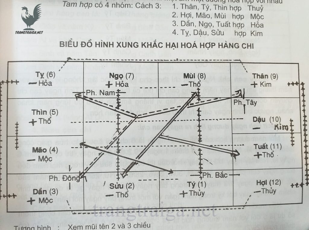 Biểu đồ xung khắc trong ngũ hành